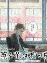 圆桌派 第七季 综艺 2024 苏蕾